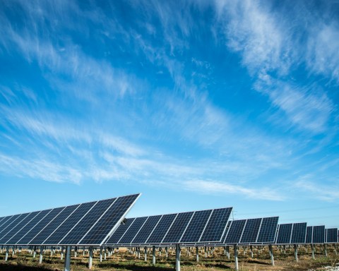 Top 6 Renewable Energy Sources Revolutionising Business Electricity