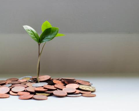 Photo by micheile dot com on Unsplash