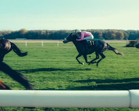 Photo by Mike Kotsch on Unsplash