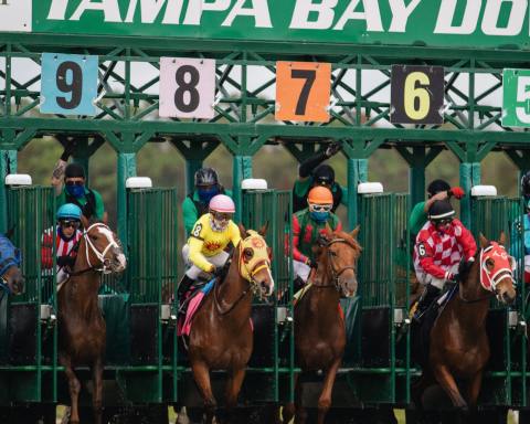 The Art Of Picking A Winner: How Horse Racing Strategy Can Apply To Decision-Making In Business